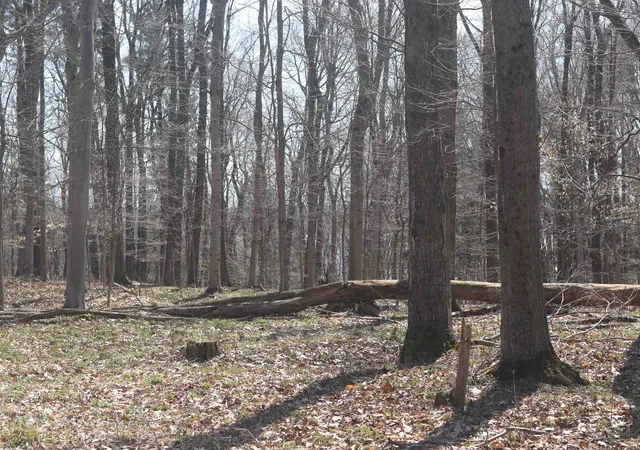 15th image of Lot 5 Crystal View, Beulah, MI 49617 | MLS# 78080066164