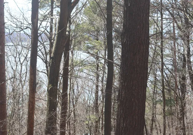 1st image of Lot 5 Crystal View, Beulah, MI 49617 | MLS# 78080066164