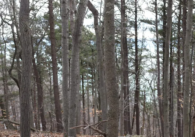 2nd image of Lot 5 Crystal View, Beulah, MI 49617 | MLS# 78080066164