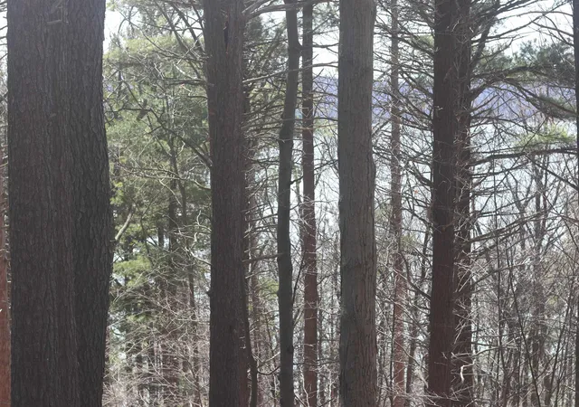 4th image of Lot 5 Crystal View, Beulah, MI 49617 | MLS# 78080066164