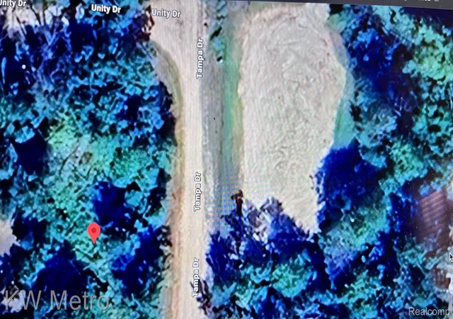 Photo 2 of Land for sale at 6629 S Tampa, Yates Township Lake, MI 49642 | MLS# 20261017461 | Listing updated on 2026-08-29