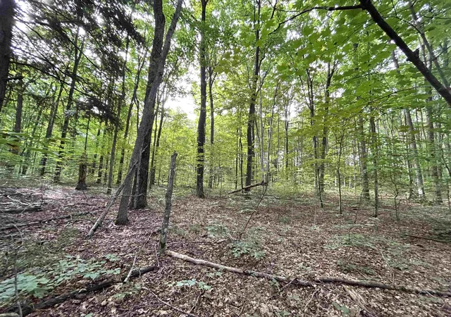 1st image of 000 Langs Ln, Interlochen, MI 49643 | MLS# 78080066218