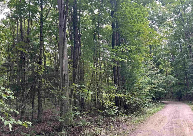 3rd image of 000 Langs Ln, Interlochen, MI 49643 | MLS# 78080066218