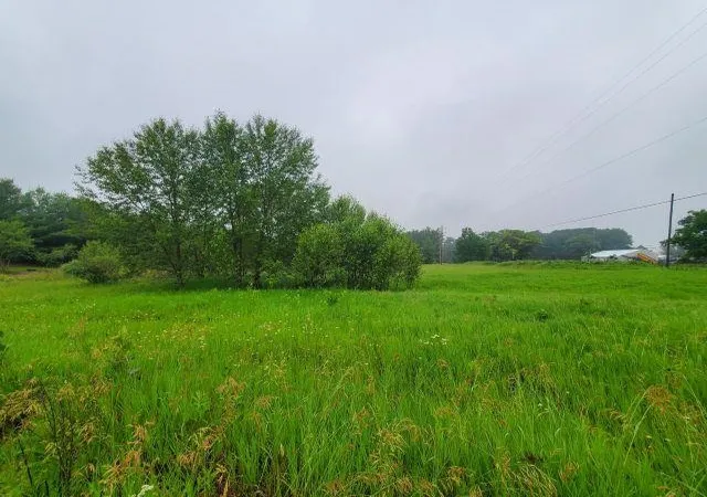 Photo 3 of Land for sale at Silver Crk Rd, Prescott, MI 48756 | MLS# 77080066266 | Listing updated on 2026-06-25