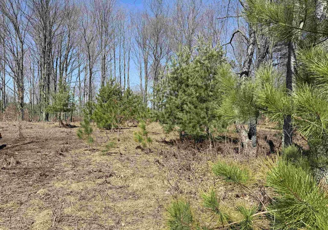 Photo 1 of Land for sale at 00 Landis Rd, Thompsonville, MI 49683 | MLS# 78080066286 | Listing updated on 2026-07-11