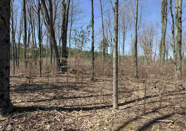 Photo 2 of Land for sale at 00 Landis Rd, Thompsonville, MI 49683 | MLS# 78080066286 | Listing updated on 2026-07-11
