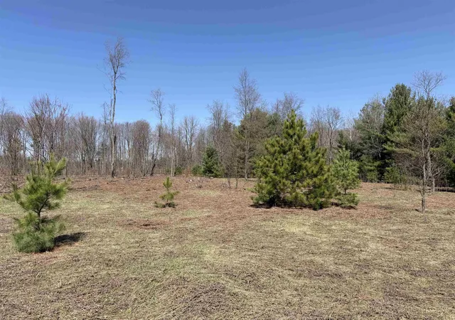 Photo 3 of Land for sale at 00 Landis Rd, Thompsonville, MI 49683 | MLS# 78080066286 | Listing updated on 2026-07-11
