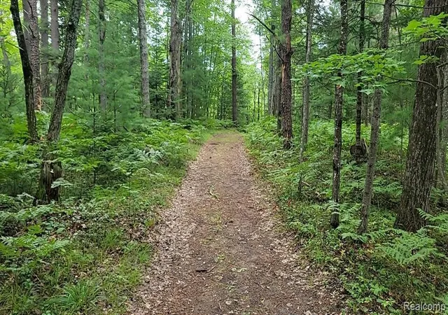 3rd image of 0 Palmer Pl, Grayling, MI 49738 | MLS# 20261018722