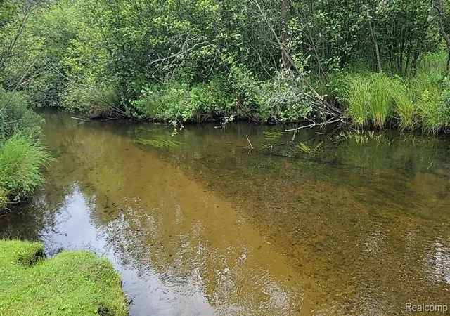 4th image of 0 Palmer Pl, Grayling, MI 49738 | MLS# 20261018722