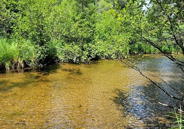 1st image of 0 Palmer Pl, Grayling, MI 49738 | MLS# 20261018722