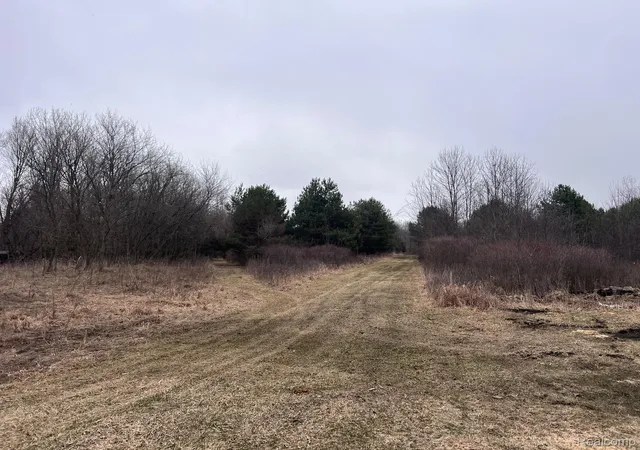 Photo 2 of Land for sale at Vl Washington St, Perry, MI 48872 | MLS# 20261018735 | Listing updated on 2026-08-19