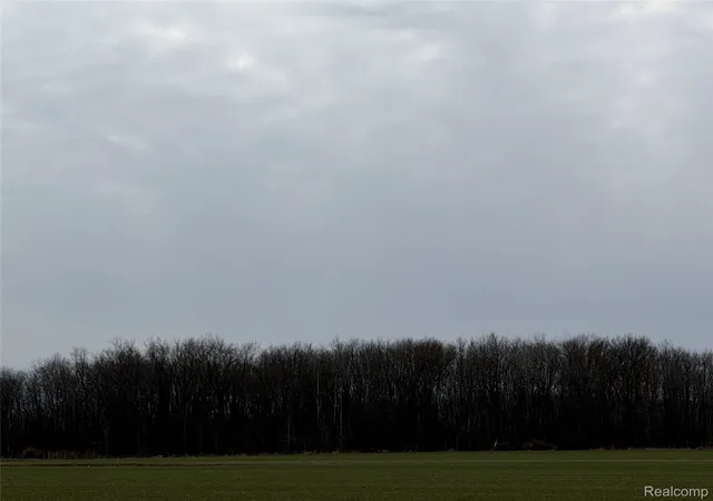 Photo 3 of Land for sale at 3155 Peck Rd, Brown City, MI 48416 | MLS# 20261018787 | Listing updated on 2026-07-06