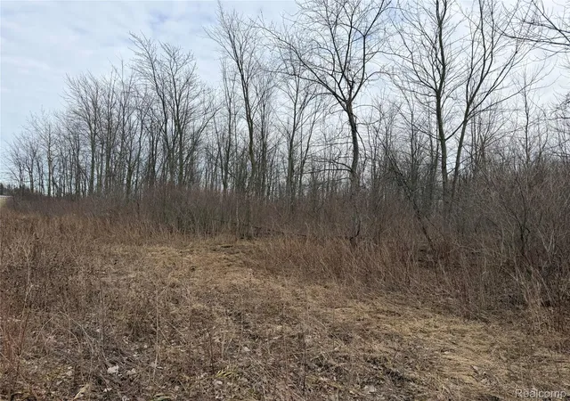 Homes for sale in Brown City, MI | 3155 Peck Rd, Brown City, MI 48416 | MLS# 20261018787