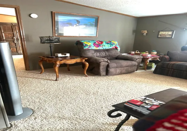 Photo 3 of Single family home for sale at 19093 Pike St, Rodney, MI 49342 | MLS# 79080066307 | Listing updated on 2026-07-16