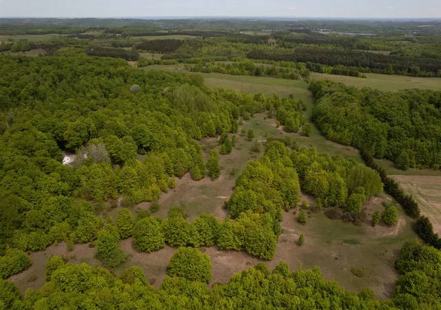 Homes for sale in Lake Leelanau, MI | 2481 S Schomberg Rd, Lake Leelanau, MI 49653 | MLS# 78080066314