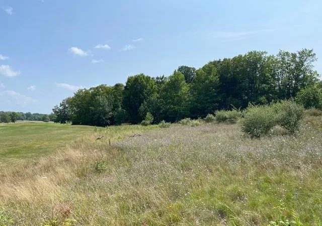 12th image of #7 Mooney Wy, Kewadin, MI 49648 | MLS# 78080066323