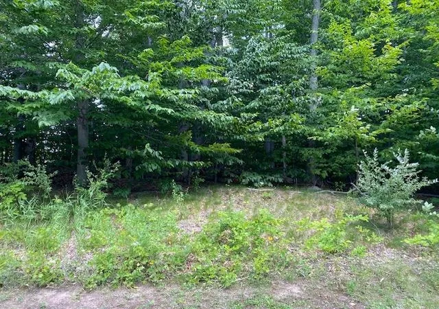 3rd image of #7 Mooney Wy, Kewadin, MI 49648 | MLS# 78080066323