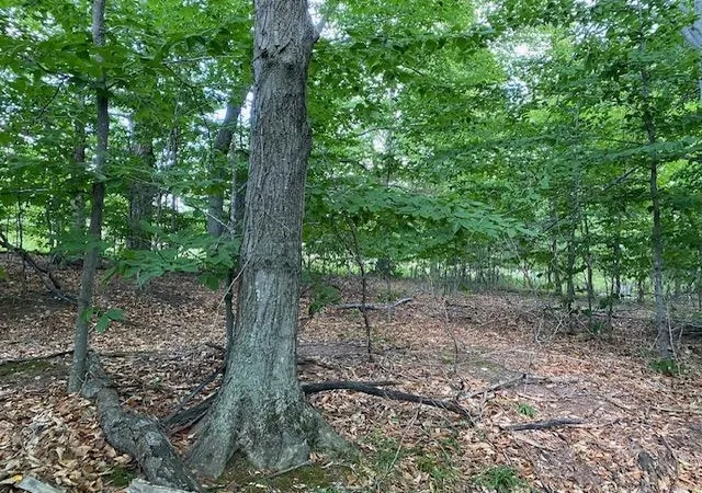 5th image of #7 Mooney Wy, Kewadin, MI 49648 | MLS# 78080066323
