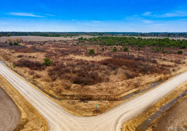 Photo 3 of Land for sale at Vacant Land Custer Rd, Carsonville, MI 48419 | MLS# 20261019087 | Listing updated on 2026-07-06