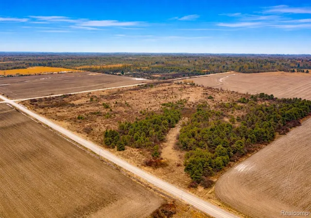 Photo 3 of Land for sale at Vacant Land Custer Rd, Carsonville, MI 48419 | MLS# 20261019087 | Listing updated on 2026-07-06