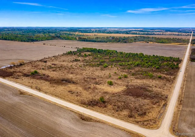 Photo 4 of Land for sale at Vacant Land Custer Rd, Carsonville, MI 48419 | MLS# 20261019087 | Listing updated on 2026-07-06