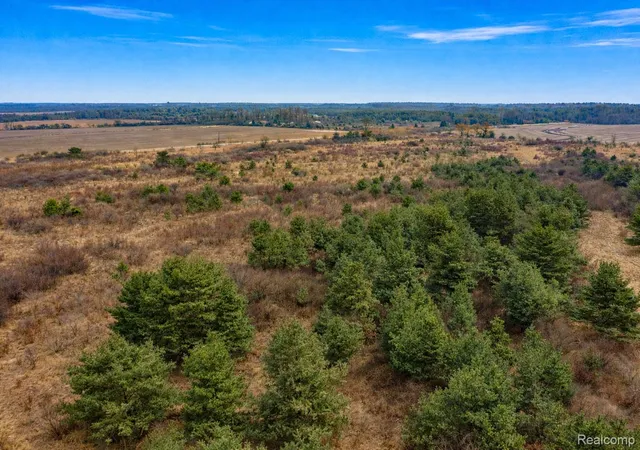 Homes for sale in Carsonville, MI | Vacant Land Custer Rd, Carsonville, MI 48419 | MLS# 20261019087