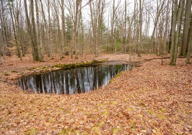 4th image of 4202 E Pontaluna Rd, Fruitport, MI 49415 | MLS# 72026011561