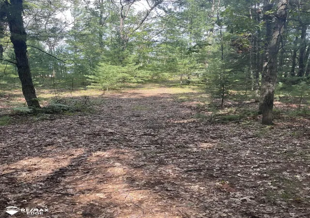 Homes for sale in Moffatt Township Arenac, MI | 0 Eagle Nest Ln, Moffatt Township Arenac, MI 48610 | MLS# 5050202587