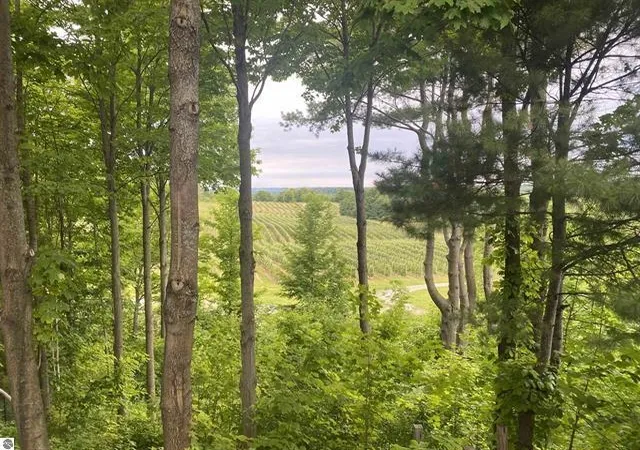 3rd image of 0 Center Rd, Traverse City, MI 49686 | MLS# 78080066436