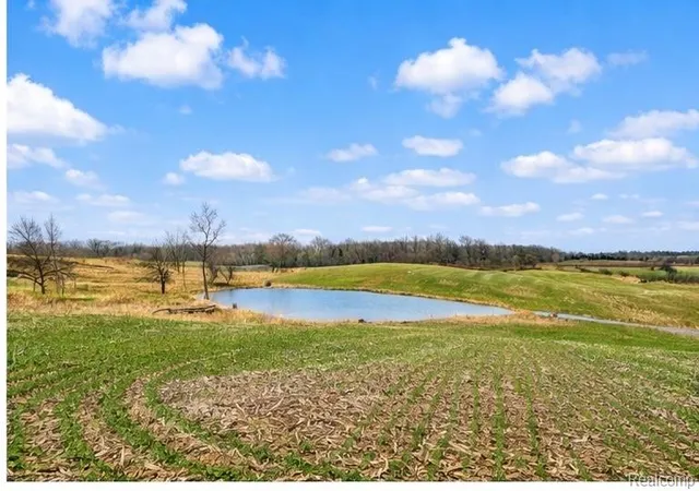Photo 3 of Single family home for sale at 3160 E Sanilac Rd, Dayton Township Tuscola, MI 48741 | MLS# 20261020654 | Listing updated on 2026-07-06