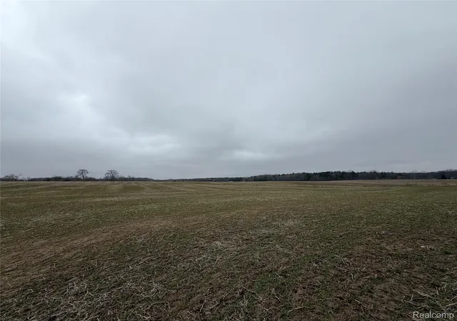 Photo 4 of Single family home for sale at 3160 E Sanilac Rd, Dayton Township Tuscola, MI 48741 | MLS# 20261020654 | Listing updated on 2026-07-06