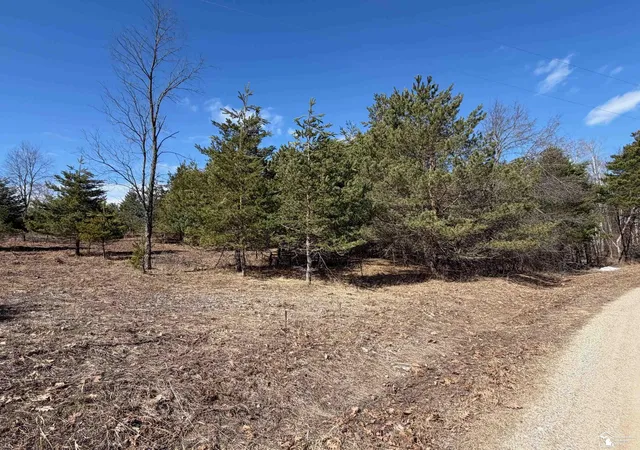 Photo 2 of Land for sale at Vl Lot 184 Chippewa Trl, Evart Township Osceola, MI 49631 | MLS# 57050202953 | Listing updated on 2026-04-02