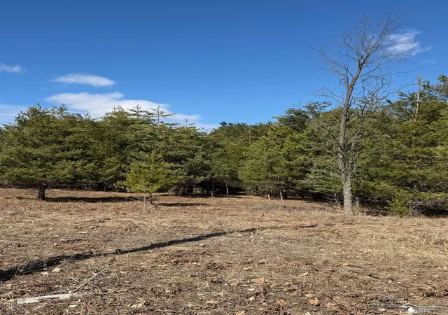 Photo 3 of Land for sale at Vl Lot 184 Chippewa Trl, Evart Township Osceola, MI 49631 | MLS# 57050202953 | Listing updated on 2026-04-02