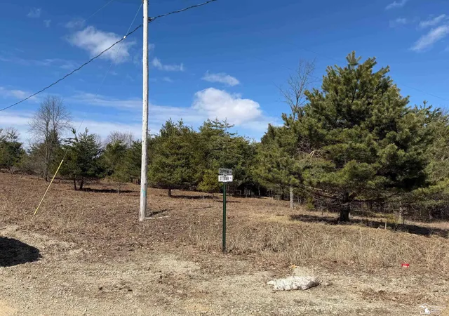 Photo 3 of Land for sale at Vl Lot 184 Chippewa Trl, Evart Township Osceola, MI 49631 | MLS# 57050202953 | Listing updated on 2026-04-02