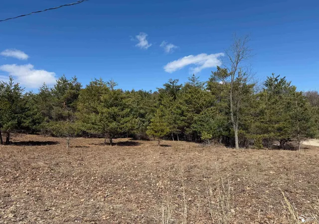 Photo 1 of Land for sale at Vl Lot 184 Chippewa Trl, Evart Township Osceola, MI 49631 | MLS# 57050202953 | Listing updated on 2026-04-02