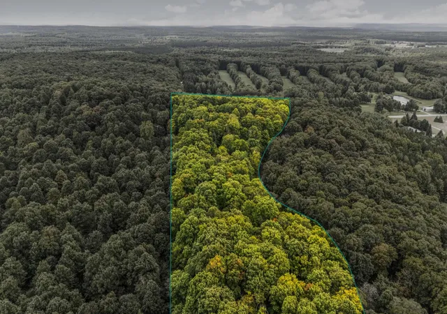 Homes for sale in Empire Township Leelanau, MI | 0 S Golden Valley Dr, Empire Township Leelanau, MI 49630 | MLS# 78080066504