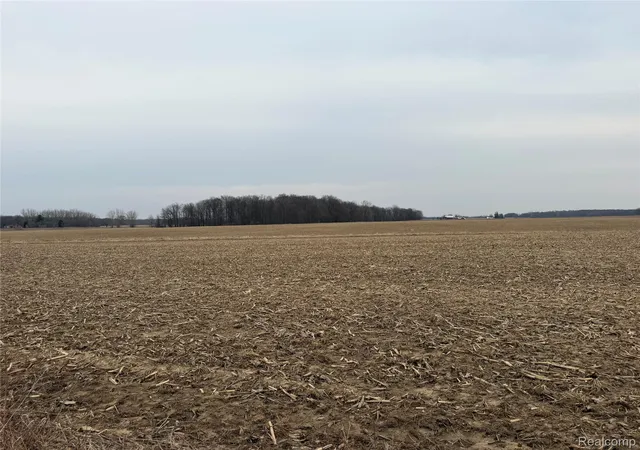 Photo 1 of Land for sale at V/l Ringle, Juniata Township Tuscola, MI 48723 | MLS# 20261021162 | Listing updated on 2026-07-06