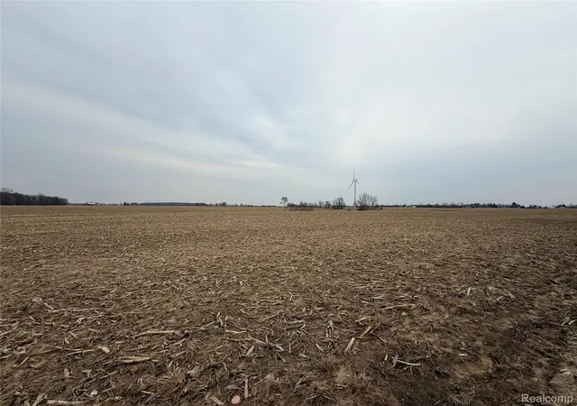 Photo 2 of Land for sale at V/l Ringle, Juniata Township Tuscola, MI 48723 | MLS# 20261021162 | Listing updated on 2026-07-06