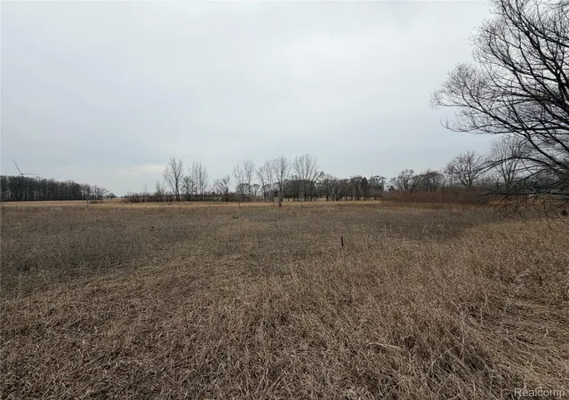 Photo 3 of Land for sale at V/l Ringle, Juniata Township Tuscola, MI 48723 | MLS# 20261021162 | Listing updated on 2026-07-06