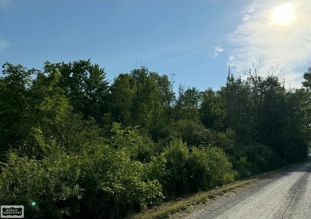 Photo 2 of Land for sale at Sullivan Rd, Emmett, MI 48022 | MLS# 58050203091 | Listing updated on 2026-08-02