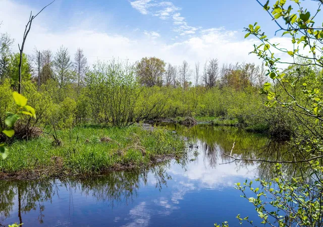 1st image of 00 Makinen Rd, Kaleva, MI 49645 | MLS# 78080066537