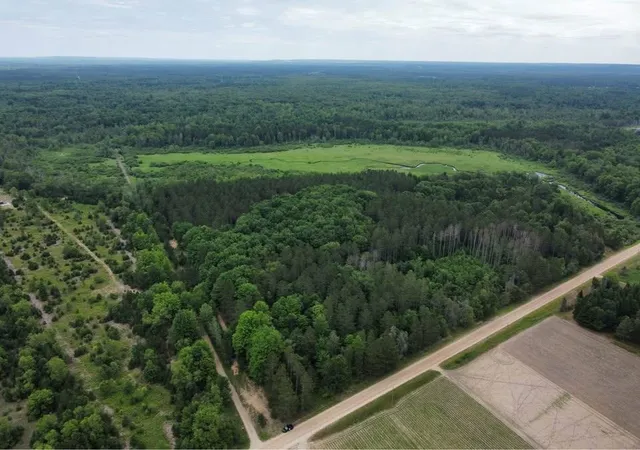 25th image of 00 Makinen Rd, Kaleva, MI 49645 | MLS# 78080066537