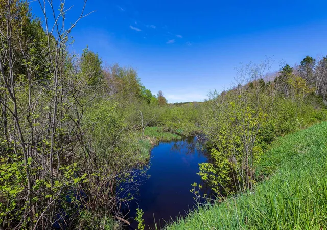 2nd image of 00 Makinen Rd, Kaleva, MI 49645 | MLS# 78080066537