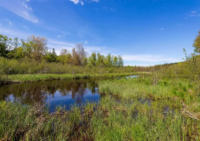 3rd image of 00 Makinen Rd, Kaleva, MI 49645 | MLS# 78080066537