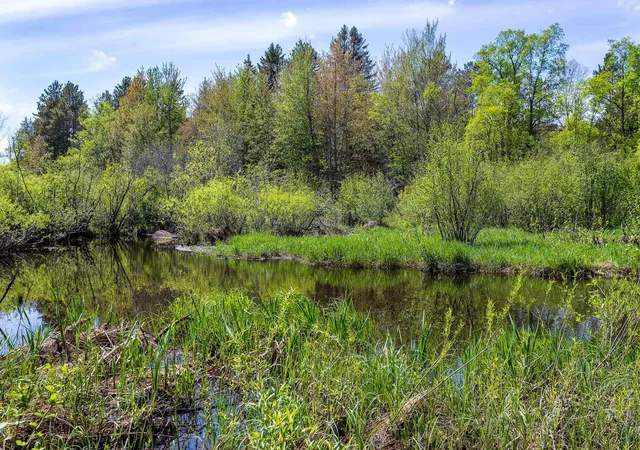 5th image of 00 Makinen Rd, Kaleva, MI 49645 | MLS# 78080066537