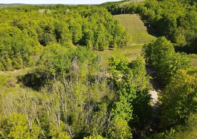 1st image of Tbd Pesek Rd, South Arm Township Charlevoix, MI 49727 | MLS# 78080066583