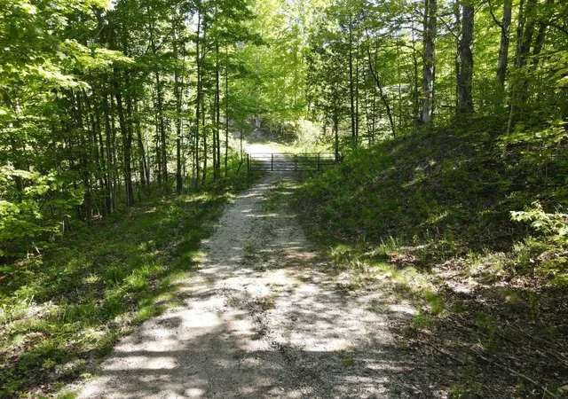 28th image of Tbd Pesek Rd, South Arm Township Charlevoix, MI 49727 | MLS# 78080066583