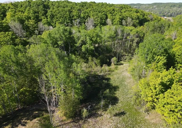 2nd image of Tbd Pesek Rd, South Arm Township Charlevoix, MI 49727 | MLS# 78080066583