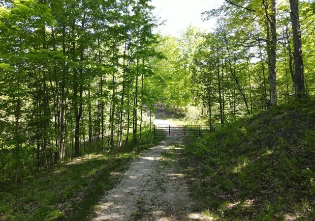 Photo 3 of Land for sale at Tbd Pesek Rd, South Arm Township Charlevoix, MI 49727 | MLS# 78080066583 | Listing updated on 2026-06-05