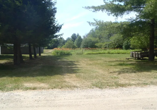 Photo 3 of Land for sale at 0 Mallison Ave, Flint, MI 48532 | MLS# 20261021773 | Listing updated on 2026-07-18